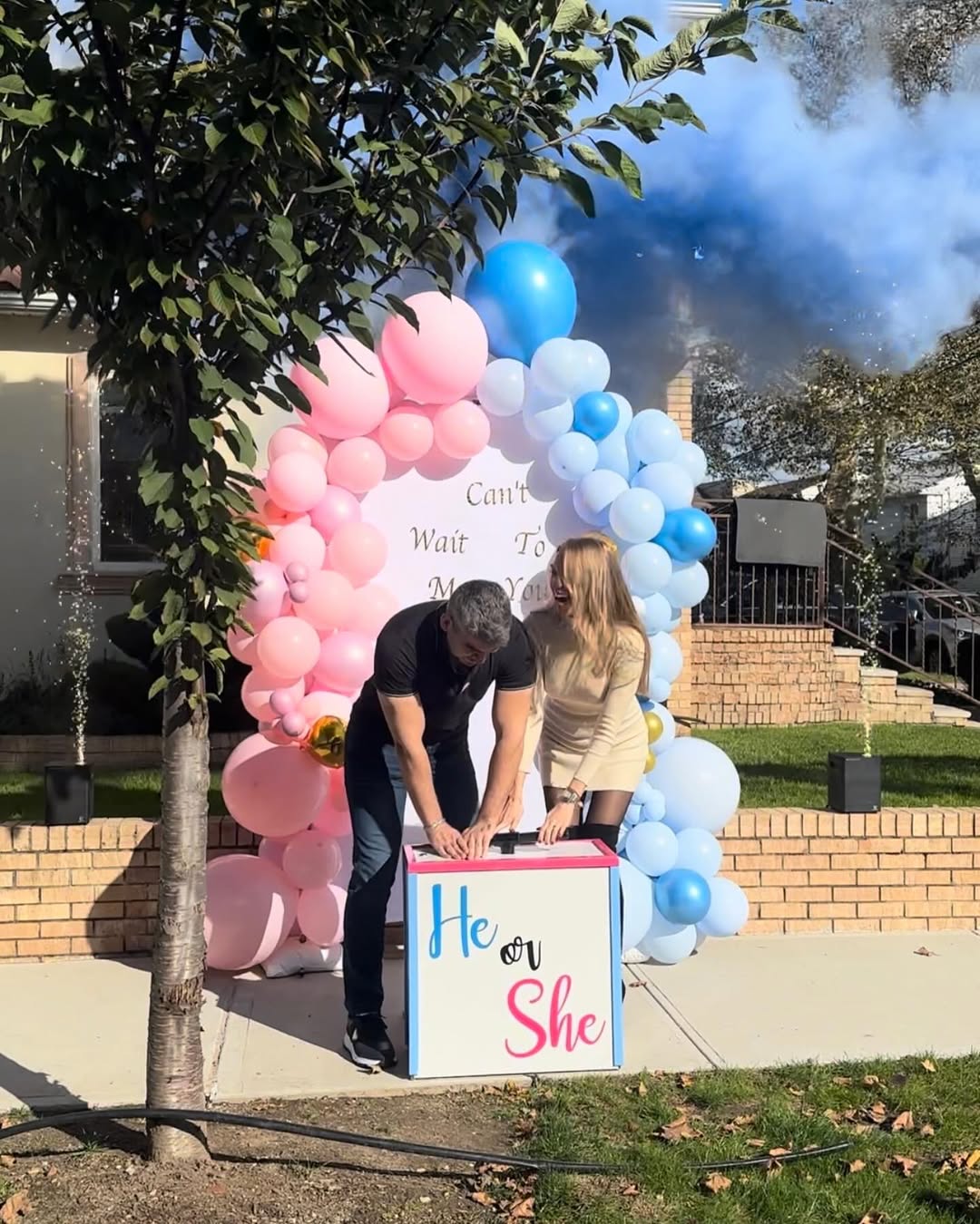 Party Land gender reveal: TNT box & blue blaster reveal